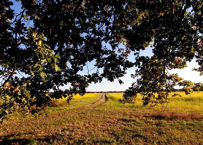 Charlottes Pfarrgarten Couette-café *